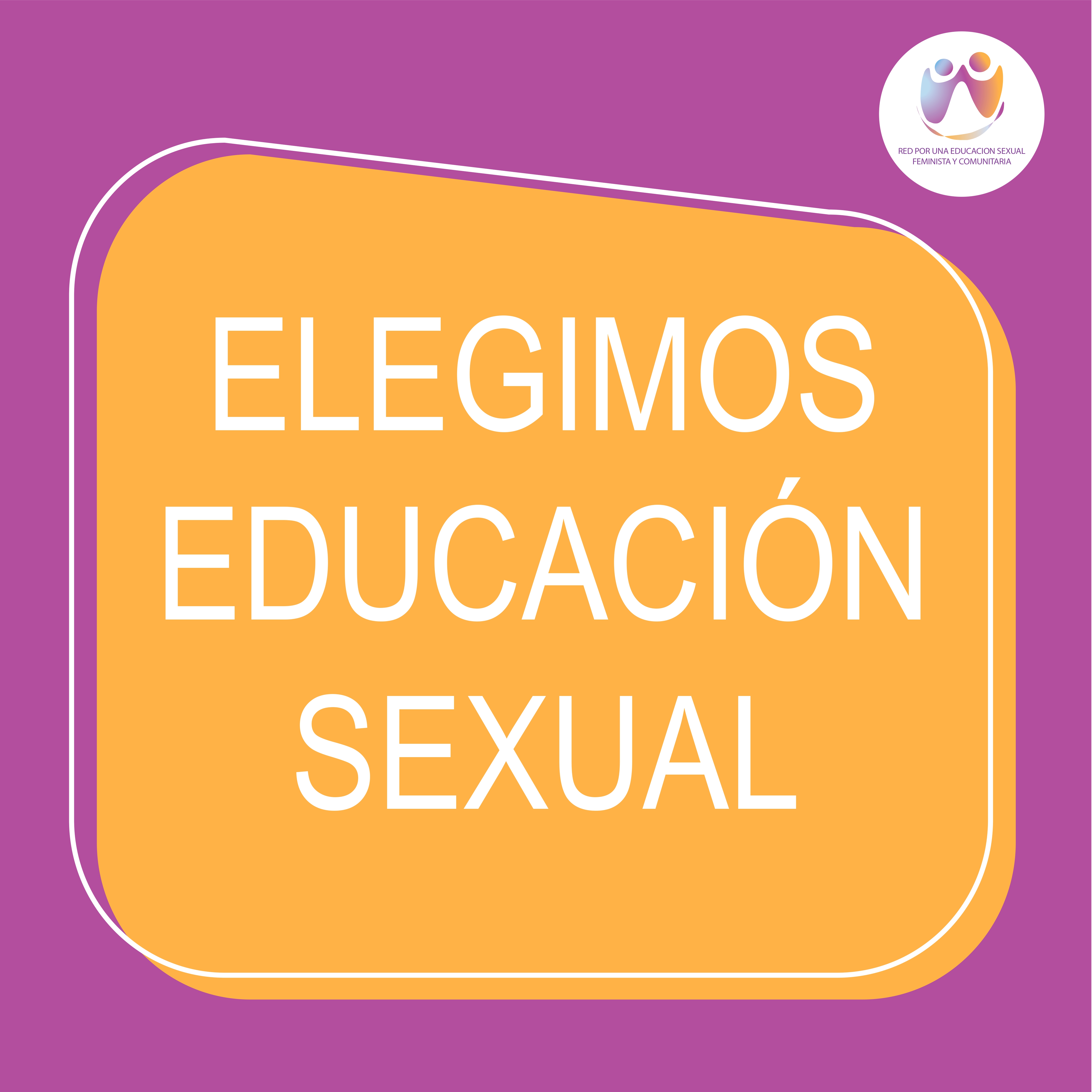 elegimos educación sexual